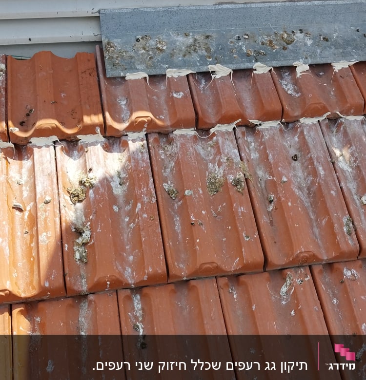 רעפים כתומים עם לכלוך וכתמים על הגג